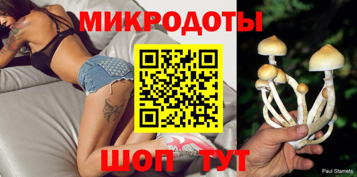 Ишимбай  Псилоцибиновые грибы GOLDEN TEACHER  Вход с VPN 